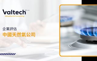 中國天然氣公司